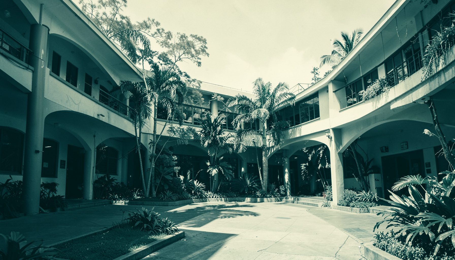 A wide duotone photograph in deep teal and warm cream tones, showing a softly lit university campus courtyard with modern architecture, arched walkways, and lush subtropical greenery under a bright sky.